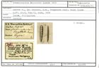 Karteikarte zum Syntyp von Frondicularia bicostata Karrer, 1878